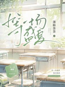 等一场盛夏tXt