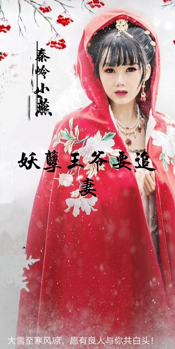 妖孽王爷要追妻免费阅读