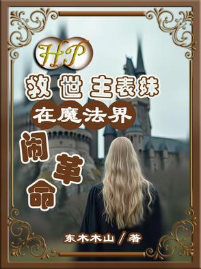 hp救世主的弟弟