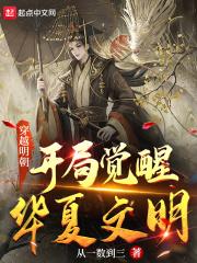穿越明朝中国崛起